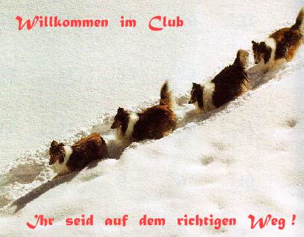 Kommt und besucht uns !